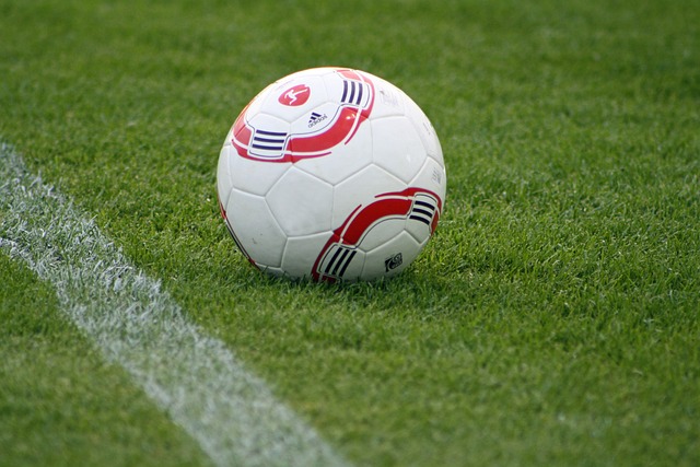 格处罚机制 格处罚机制